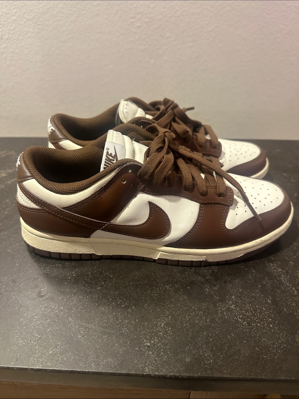Nike Dunk Low Men’s Sneakers - Brown & White